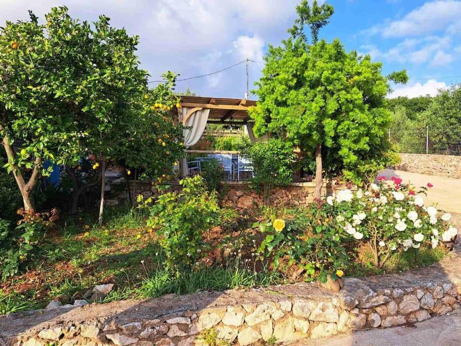 Fragosiko - Rustic Retreat In Kefalonia Argosztóli Kültér fotó