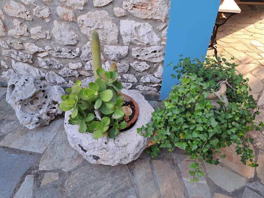 Fragosiko - Rustic Retreat In Kefalonia Argosztóli Kültér fotó