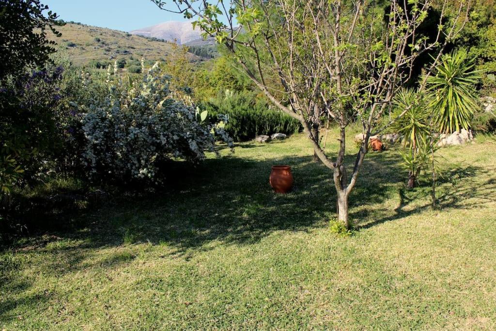 Fragosiko - Rustic Retreat In Kefalonia Argosztóli Kültér fotó