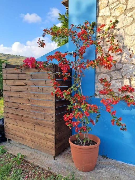 Fragosiko - Rustic Retreat In Kefalonia Argosztóli Kültér fotó