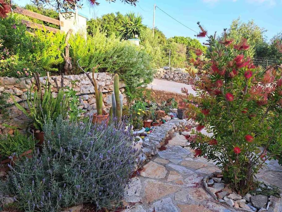 Fragosiko - Rustic Retreat In Kefalonia Argosztóli Kültér fotó