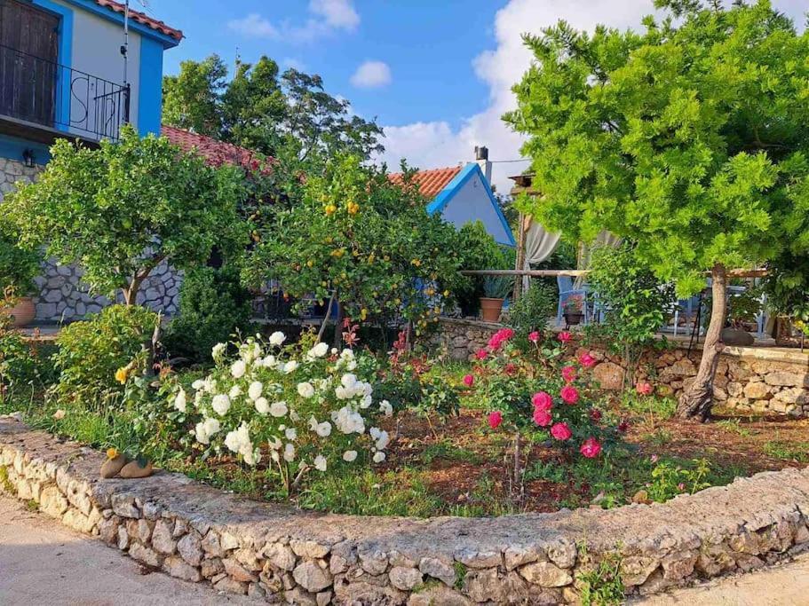 Fragosiko - Rustic Retreat In Kefalonia Argosztóli Kültér fotó