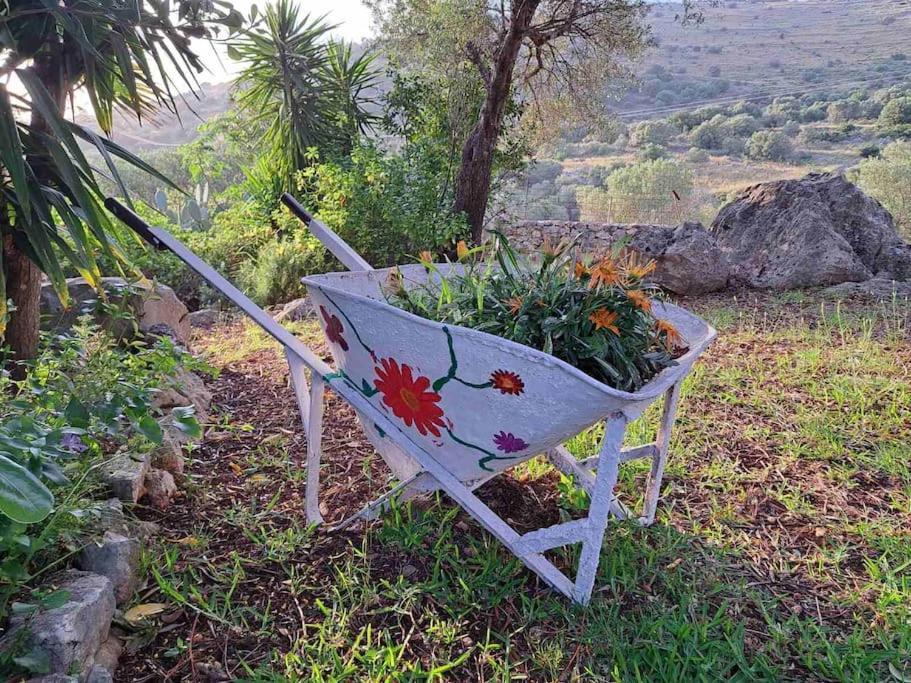 Fragosiko - Rustic Retreat In Kefalonia Argosztóli Kültér fotó