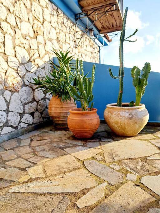 Fragosiko - Rustic Retreat In Kefalonia Argosztóli Kültér fotó